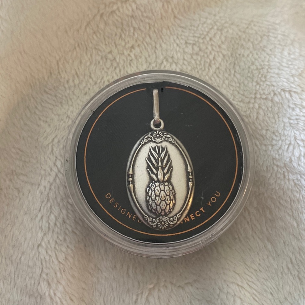 Alex & Ani Pineapple Chain Station Charm in Rafaelian Silver Finish